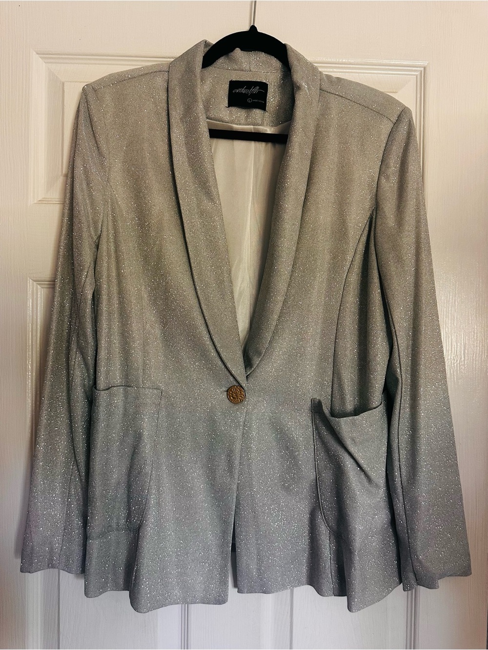 Shimmering Silver Women's Blazer Jacket